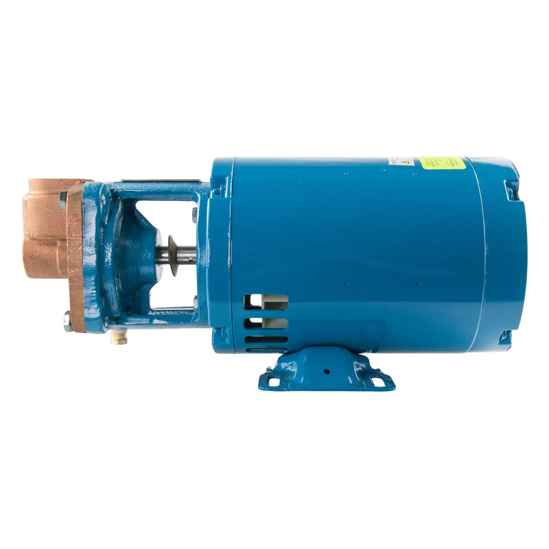 Burks® 37CT7M 3/4HP Water Condensate Turbine Boiler Feed 208-230/460V 3-Phase