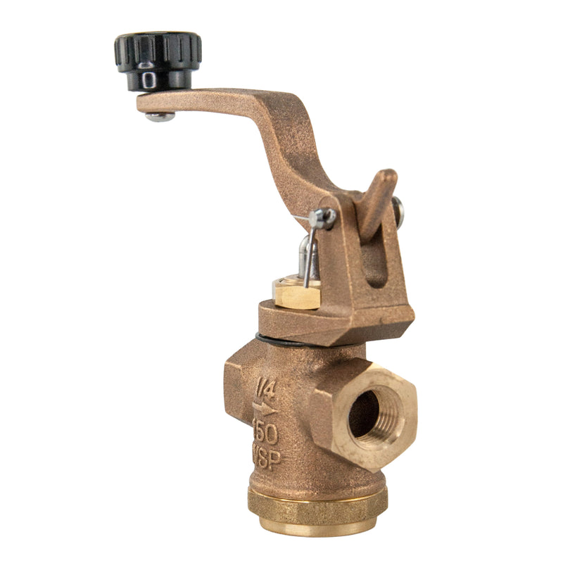 Duco® DPV14J Bronze Steam Whistle Valve Jewelry Steam Boilers